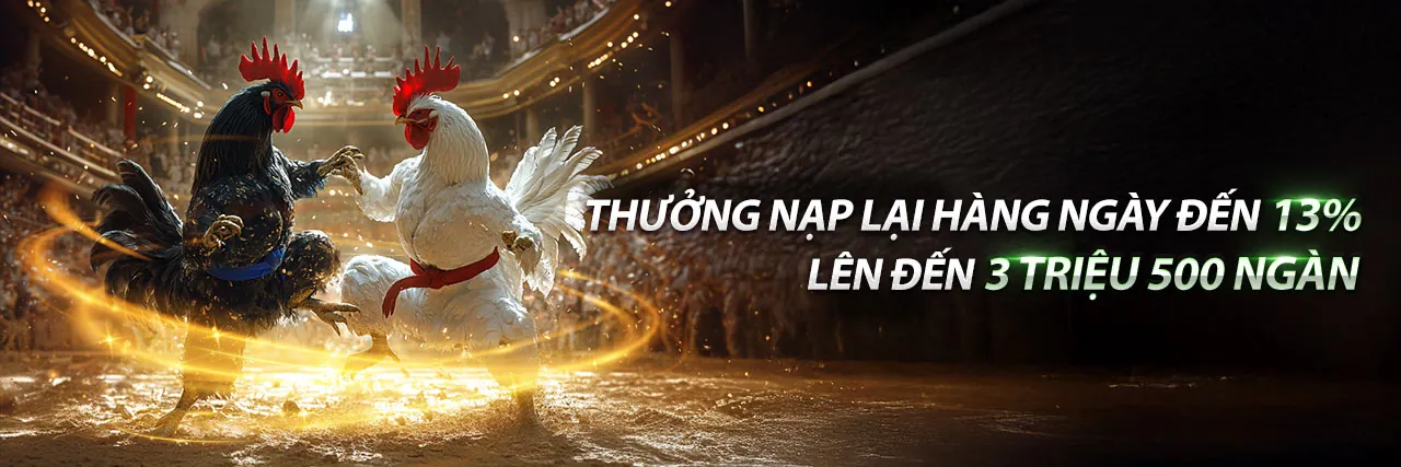 Kèo đá gà trực tiếp tại trường đấu 2026